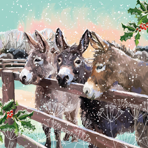 Waiting in the paddock - Christmas Cards 2025